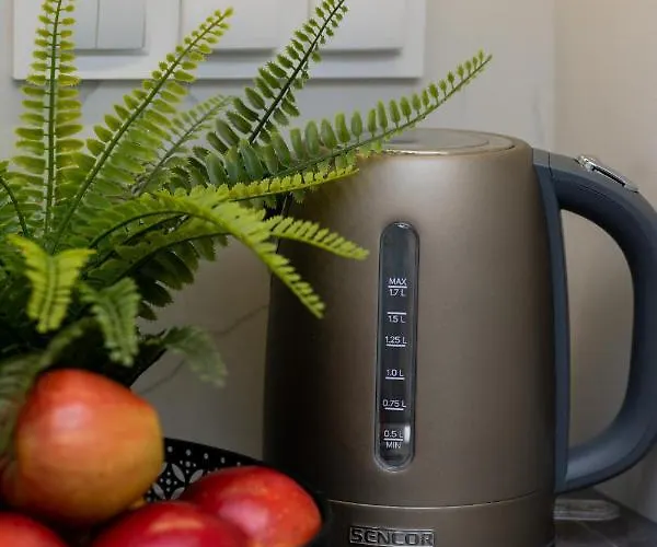 شقة Turquoise Near The Royal Lazienki By Renters وارسو